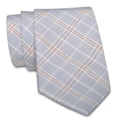 State and Liberty Light Blue Plaid Tie| Accessories