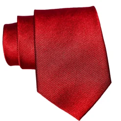 State and Liberty Red Woven Silk Tie| Accessories