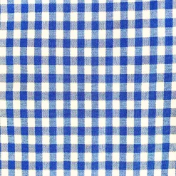 State and Liberty "The Bonino" Blue Gingham| Dress Shirts