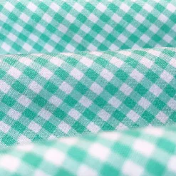 State and Liberty "The Charley" Mint Green Gingham| Dress Shirts