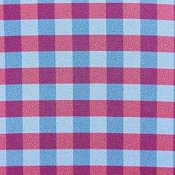 State and Liberty "The Langford" Red and Blue Big Gingham| Dress Shirts