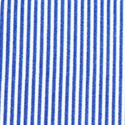 State and Liberty "The Marshall" Blue Pinstripe| Dress Shirts