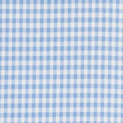 State and Liberty "The Mills" Light Blue Gingham| Dress Shirts